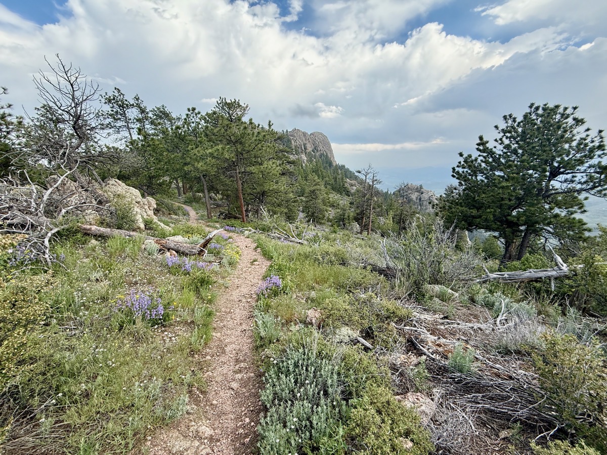 A mountain trail